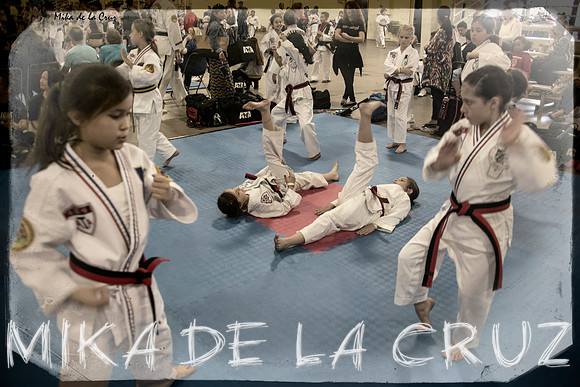 _MG_0069 copia