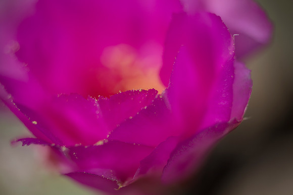 _MG_7983