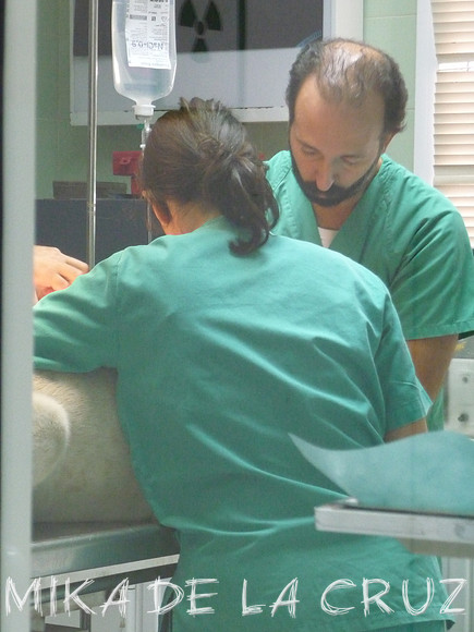 P1010450