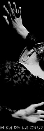 IMG_4228 (1) copia.bw larga