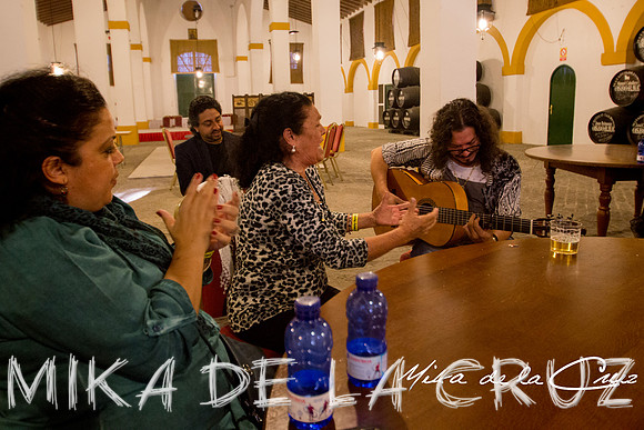17mika-de-la-cruz-Monkey-week- familia-montoya-Raimundo Amador- 2013