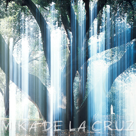 y el arbol se hizo luz